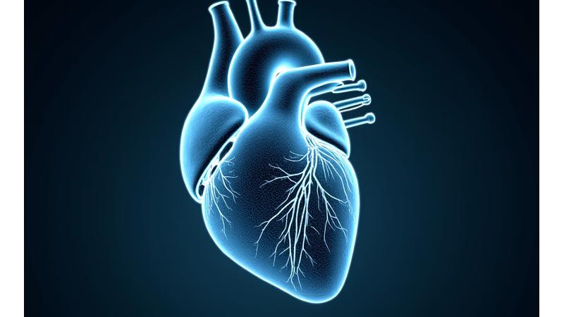 Imagerie médicale haute résolution montrant un cœur humain avec un cathéter robotique inséré, guidé par des données d'IA affichées en surimpression bleu-vert, illustrant une intervention TAVI.